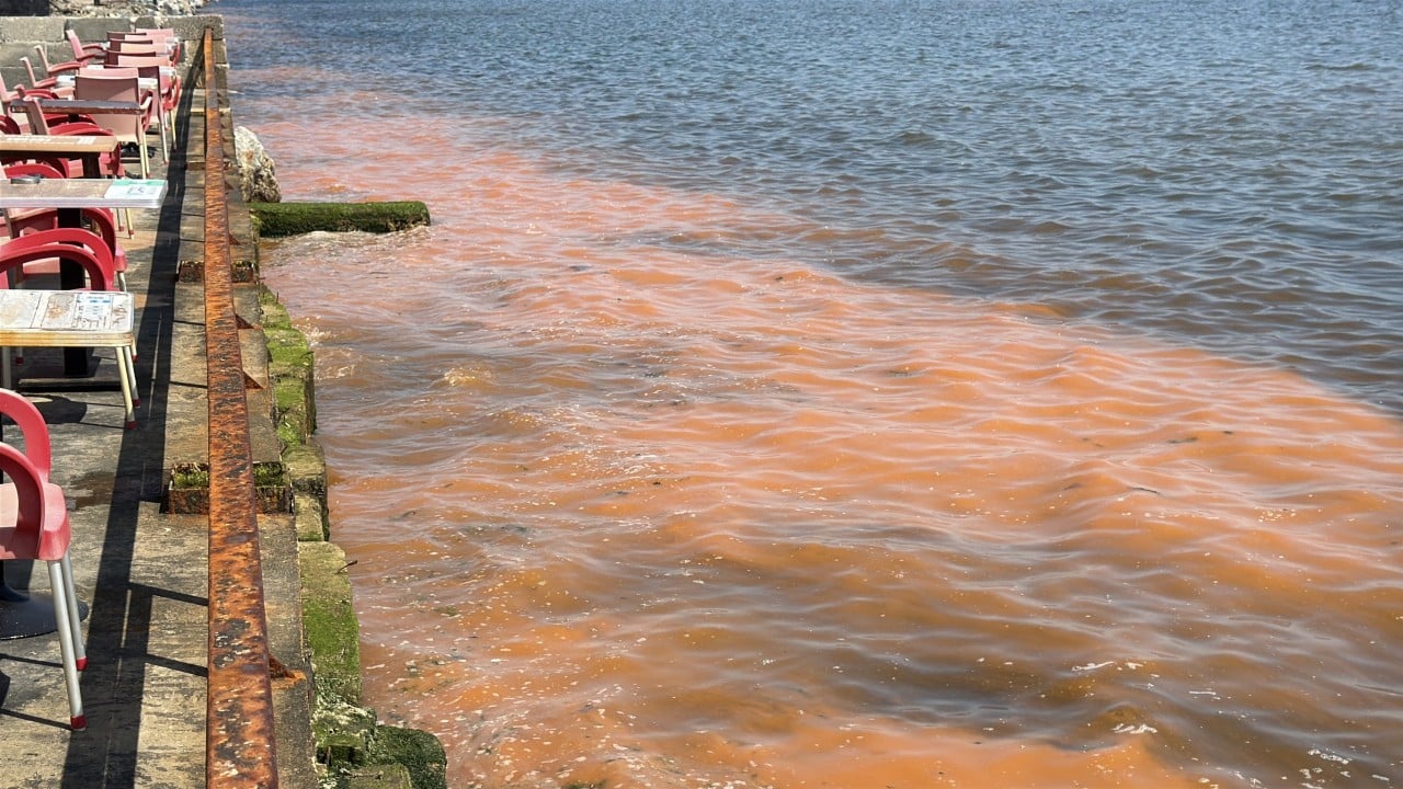 Foto - Tekirdağ'da korkutan görüntü!