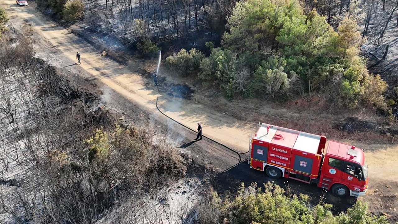 Foto - Tekirdağ'dan yürekleri ferahlatan haber