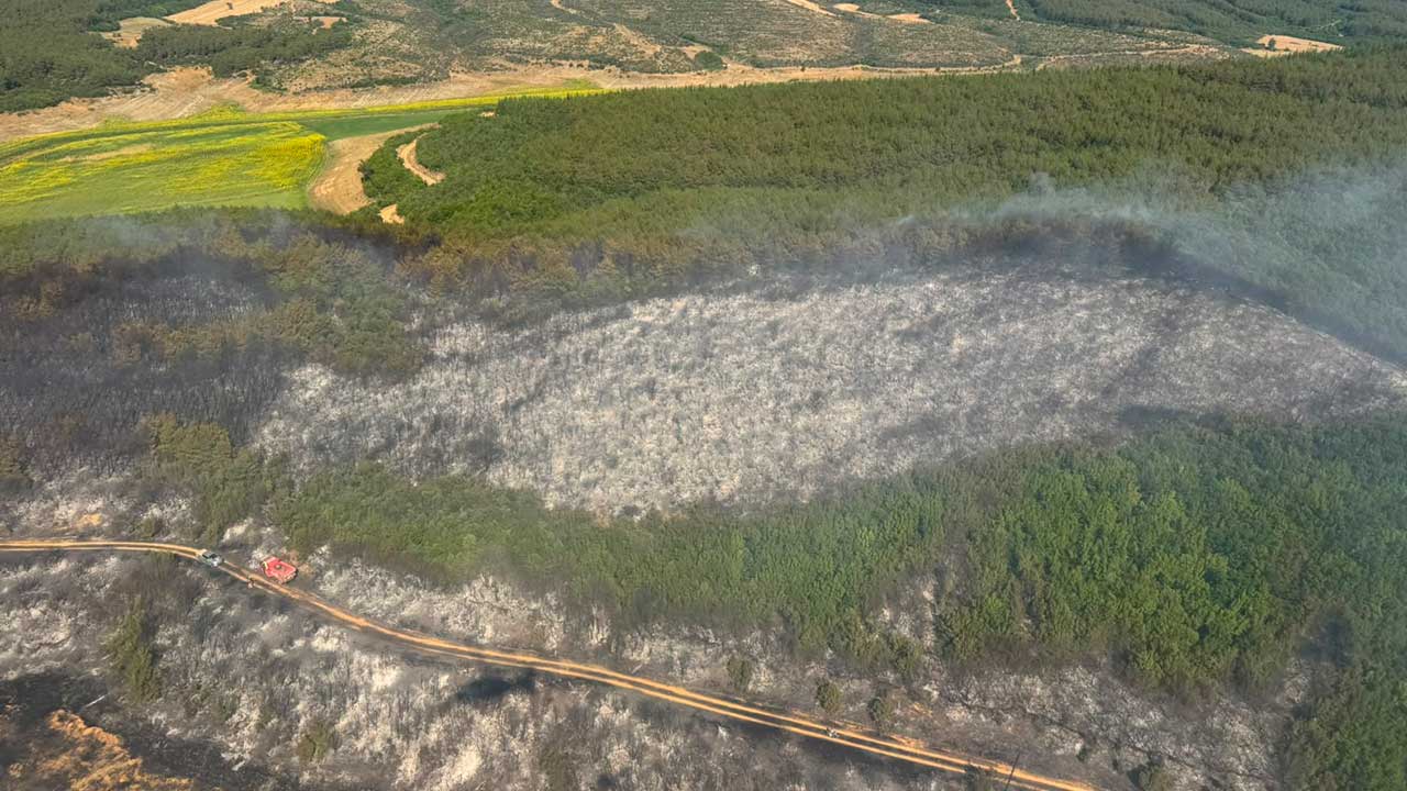 Foto - Tekirdağ'dan yürekleri ferahlatan haber