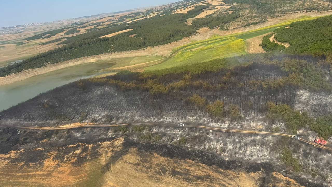 Foto - Tekirdağ'dan yürekleri ferahlatan haber