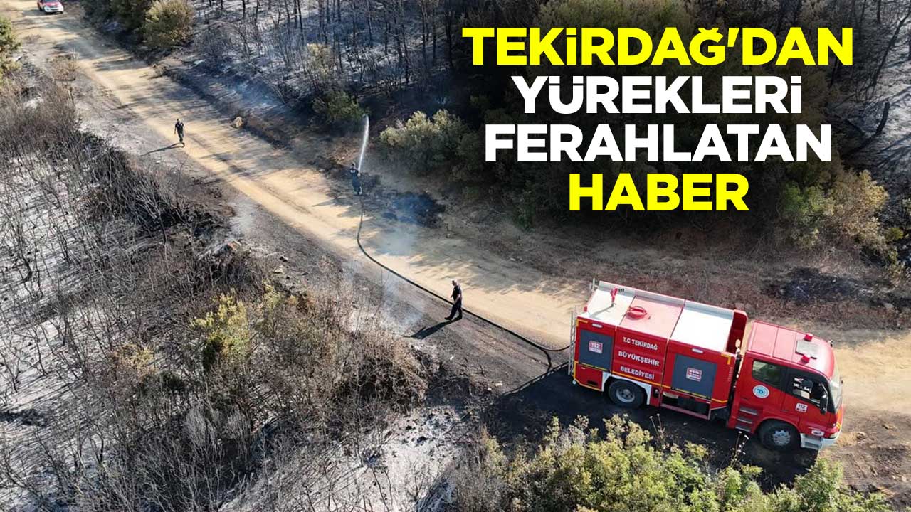 Tekirdağ'dan yürekleri ferahlatan haber
