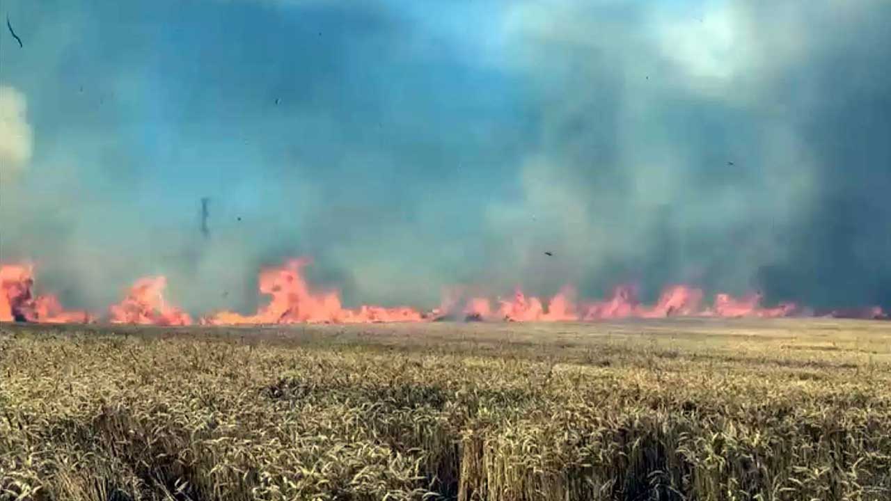 Foto - Tekirdağ'dan yürekleri sızlatan haber