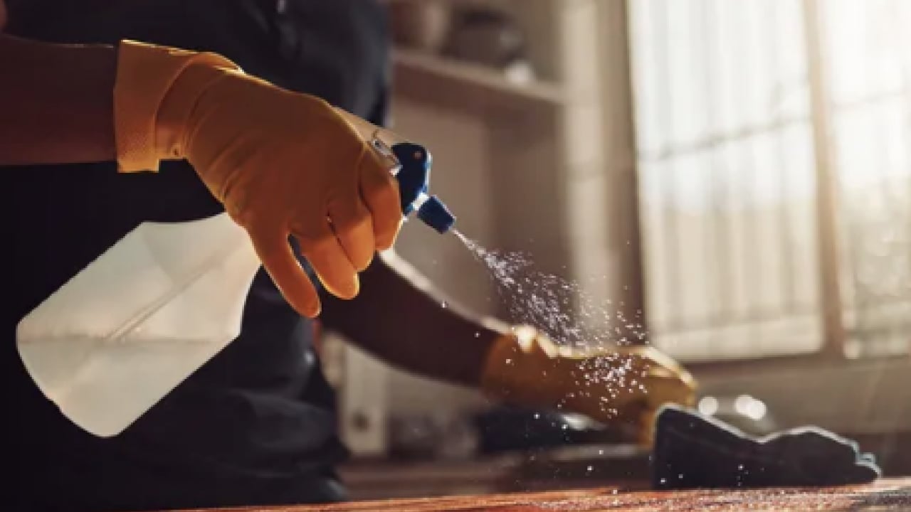 Foto - Temizlik yaparken eldiven takmalı mısınız? İşte gerekli olduğu o anları unutmadan not edin!