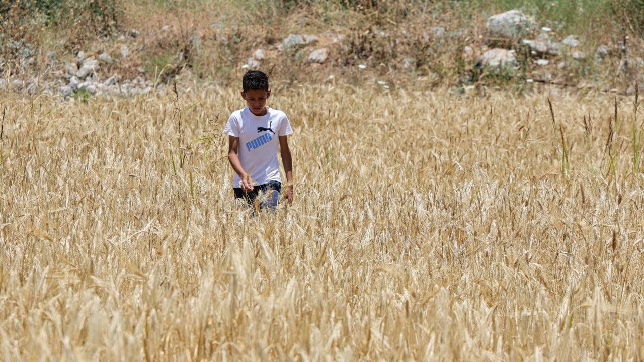 Foto - Teröristler çiftçilere ateş açtı! Devletten yardım istediler