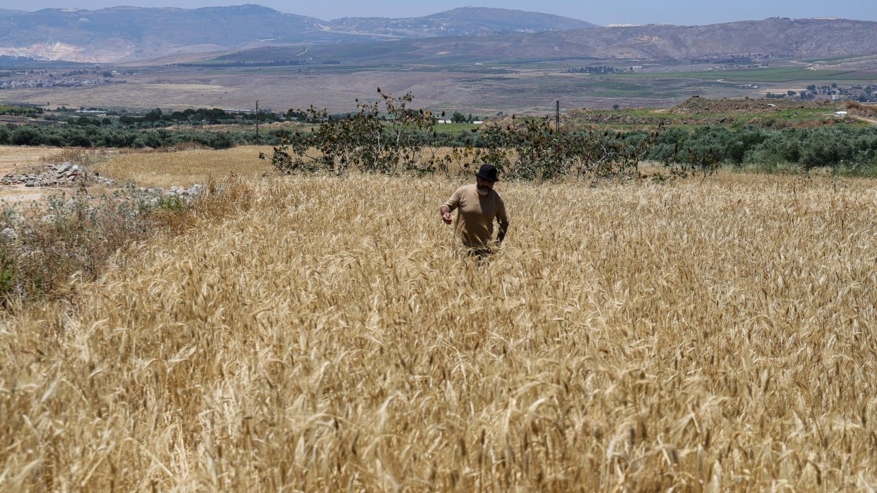 Foto - Teröristler çiftçilere ateş açtı! Devletten yardım istediler