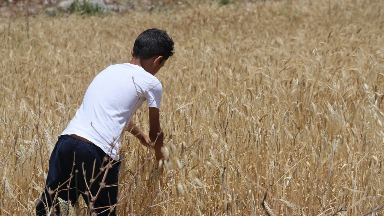 Foto - Teröristler çiftçilere ateş açtı! Devletten yardım istediler