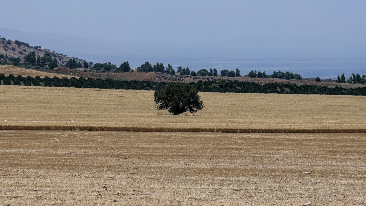 Foto - Teröristler çiftçilere ateş açtı! Devletten yardım istediler
