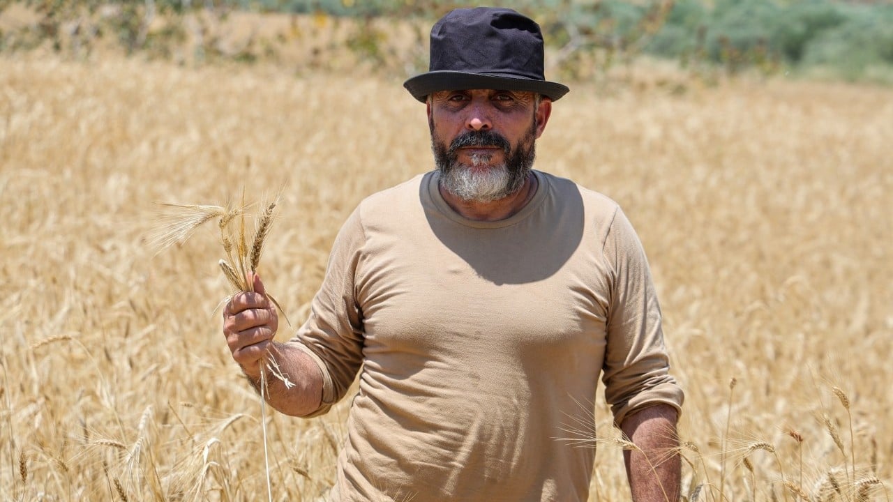 Foto - Teröristler çiftçilere ateş açtı! Devletten yardım istediler
