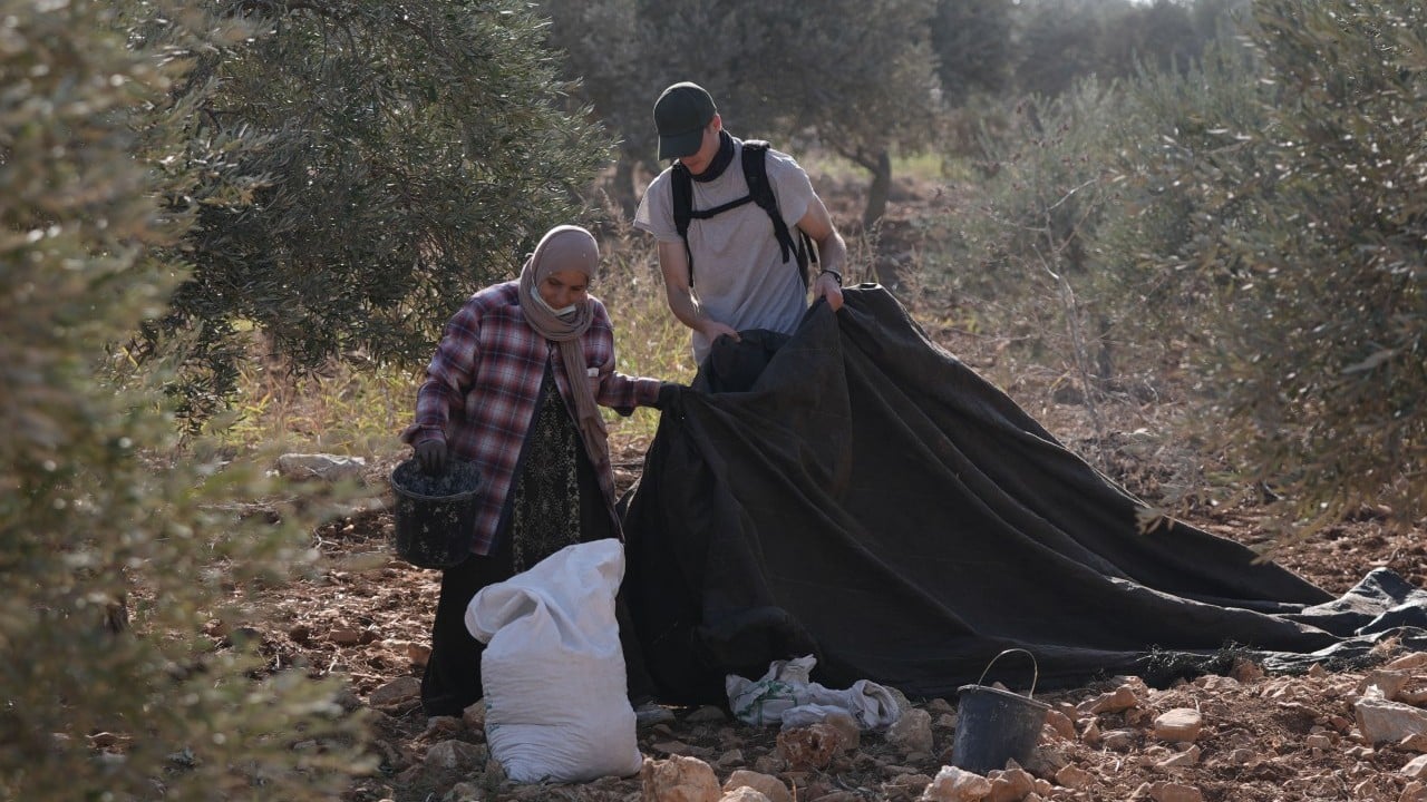 Foto - Teröristler, Müslümanlara saldırdı! Zeytinlikte vahşet