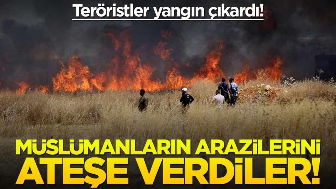 Teröristler yangın çıkardı! Müslümanların arazilerini ateşe verdiler!