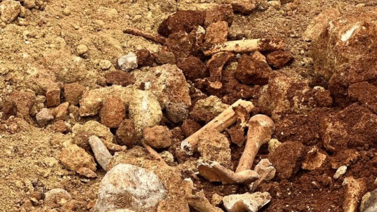 Foto - Tesadüfen fark edildi! Çalışmalar durduruldu polise haber verildi