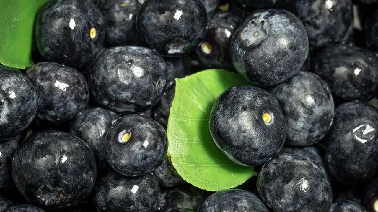 Foto - Tescilli süper meyve güzelleştiriyor! Faydalı formül sonucunda: Parlama ve gençlik ışıltısı sağlıyor