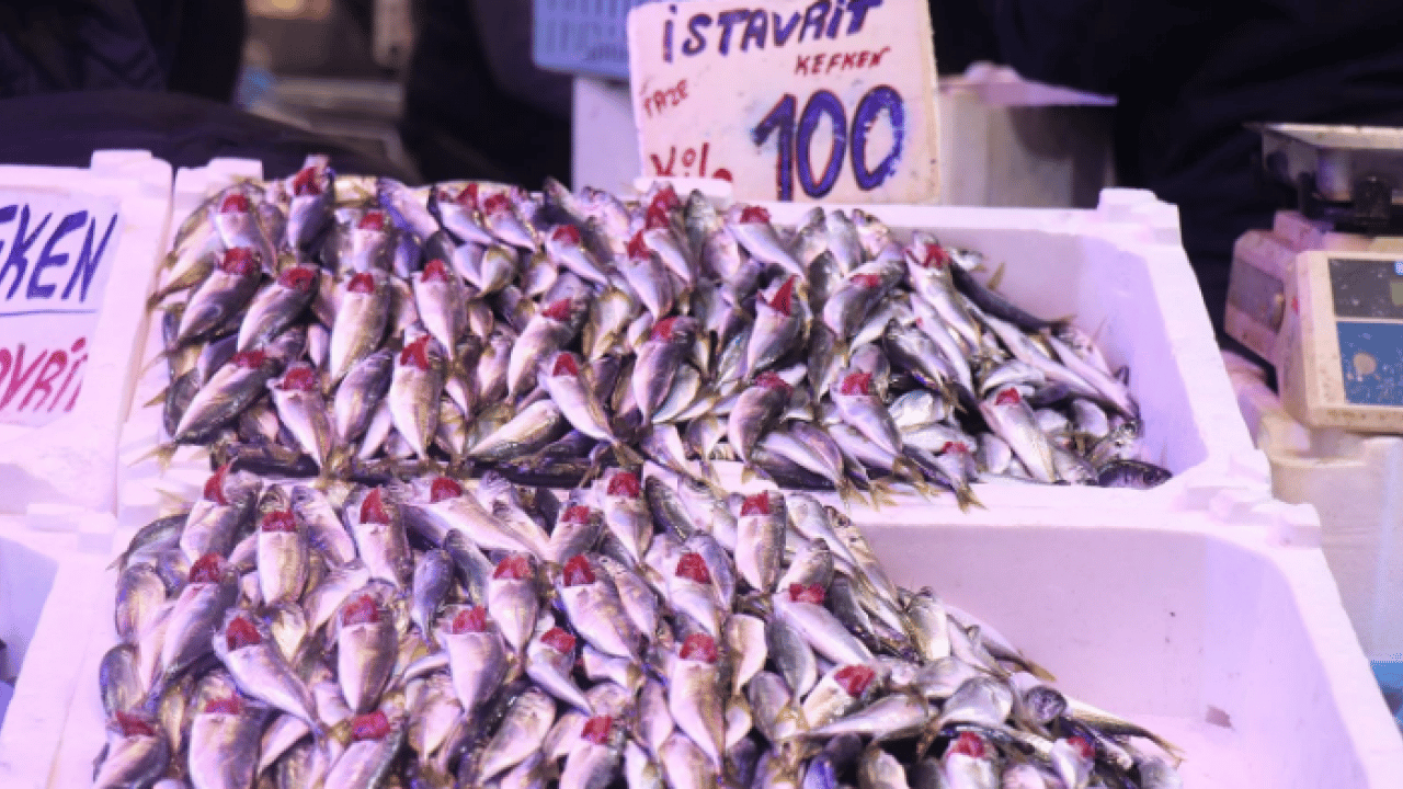 Tezgahlar doldu taştı! Balık fiyatları vatandaşları mutlu etti