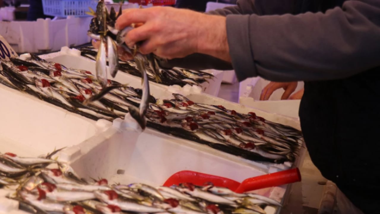 Foto - Tezgahlar doldu taştı! Balık fiyatları vatandaşları mutlu etti