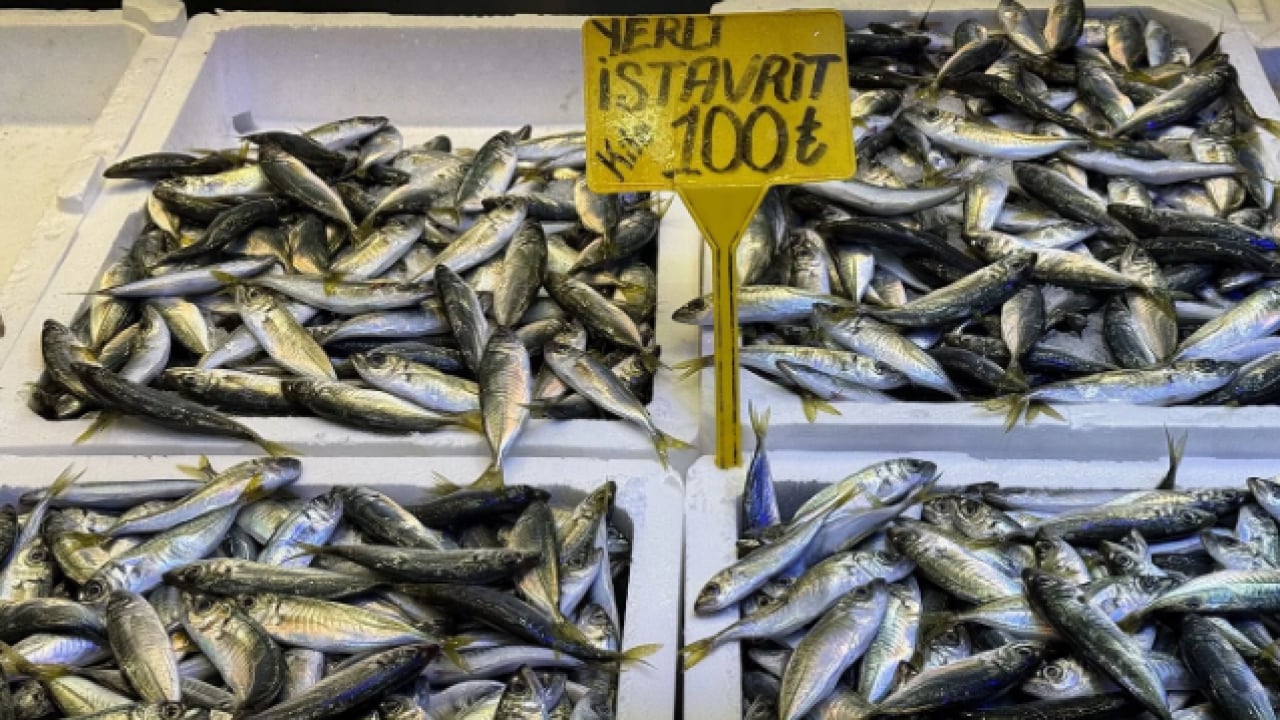 Foto - Tezgahlar doldu taştı! Hamsinin fiyatı yüzleri güldürdü