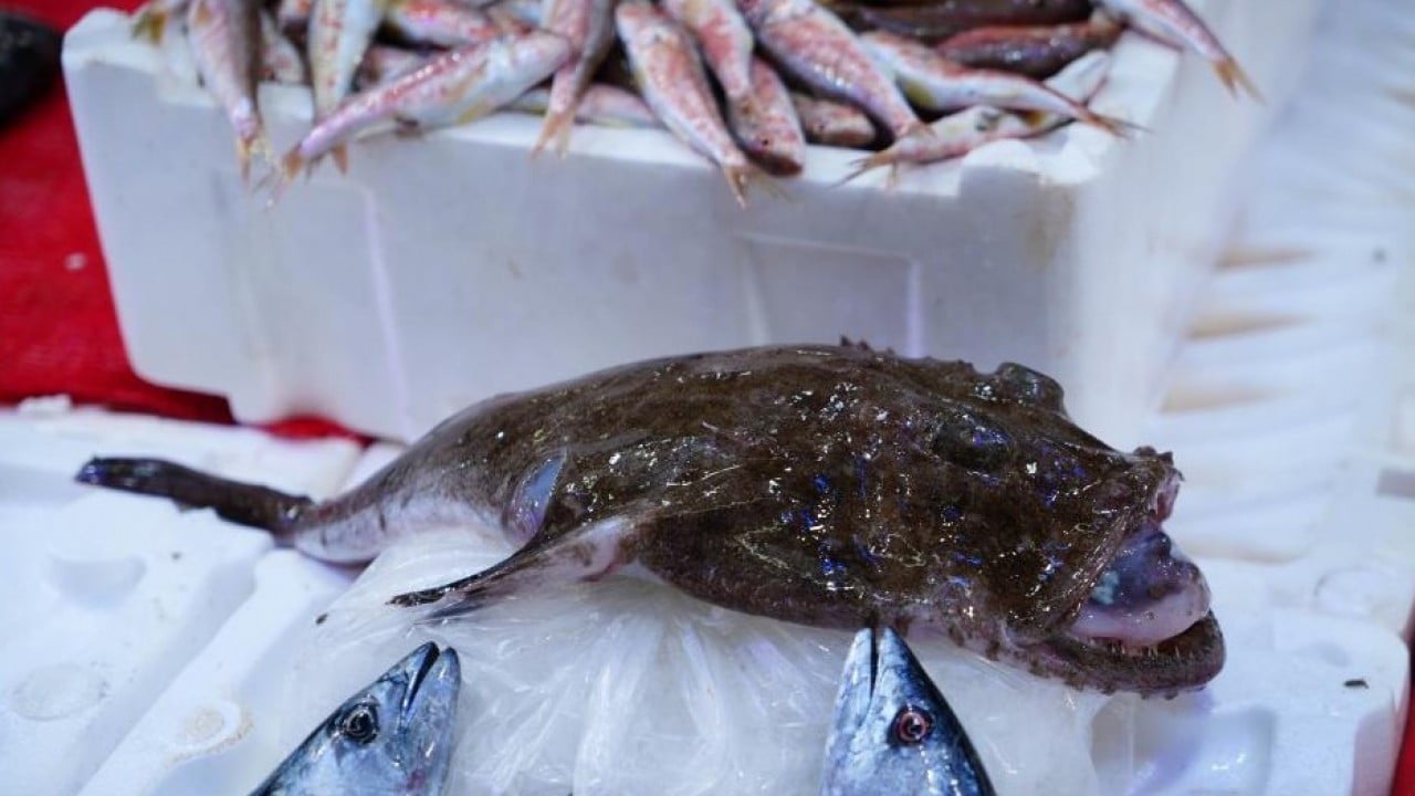 Foto - Tezgahlar hamsiyle doldu taştı! Fiyatı yüz güldürüyor