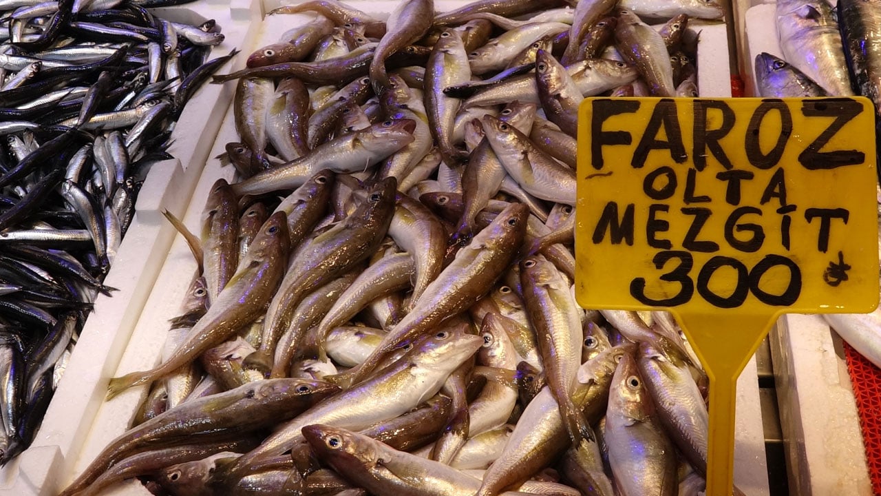 Tezgahlarda balık bolluğu! Hamsi fiyatı düşüşe geçti