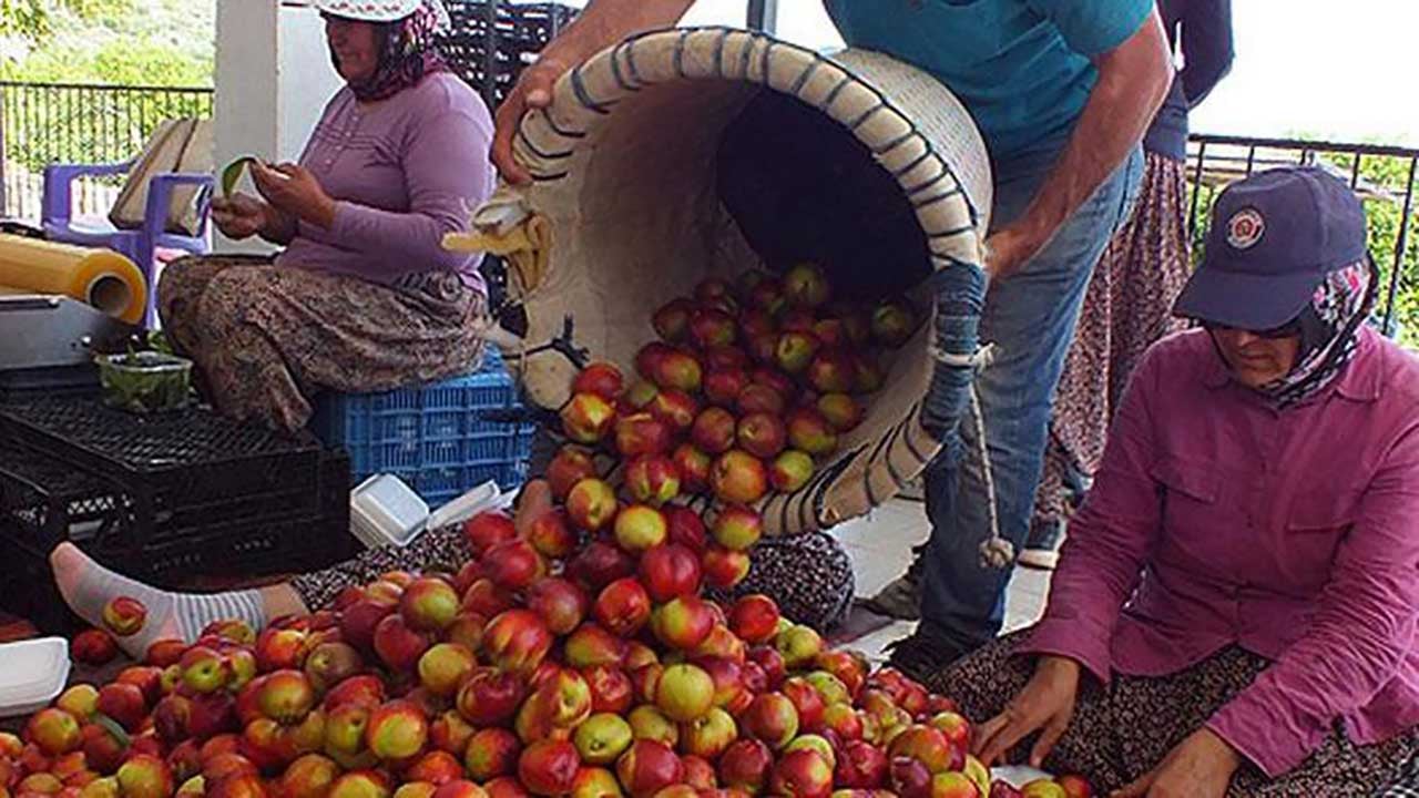 Foto - Tezgahta görünce kilo kilo alın! Damarları sakız gibi esnetiyor! Kalp krizini kökten engelliyor!