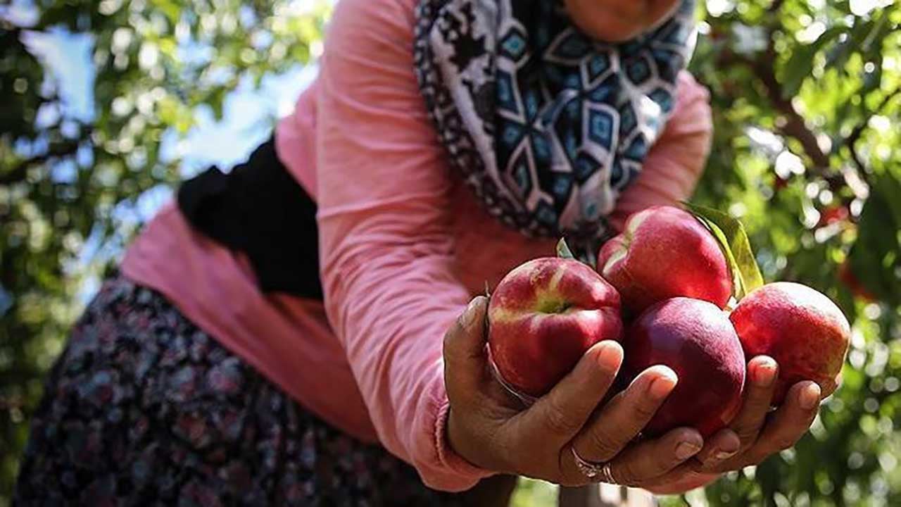 Foto - Tezgahta görünce kilo kilo alın! Damarları sakız gibi esnetiyor! Kalp krizini kökten engelliyor!