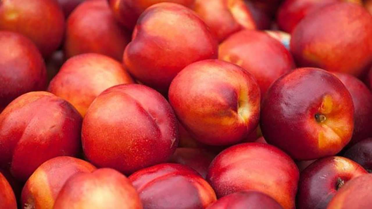 Tezgahta görünce kilo kilo alın! Damarları sakız gibi esnetiyor! Kalp krizini kökten engelliyor!