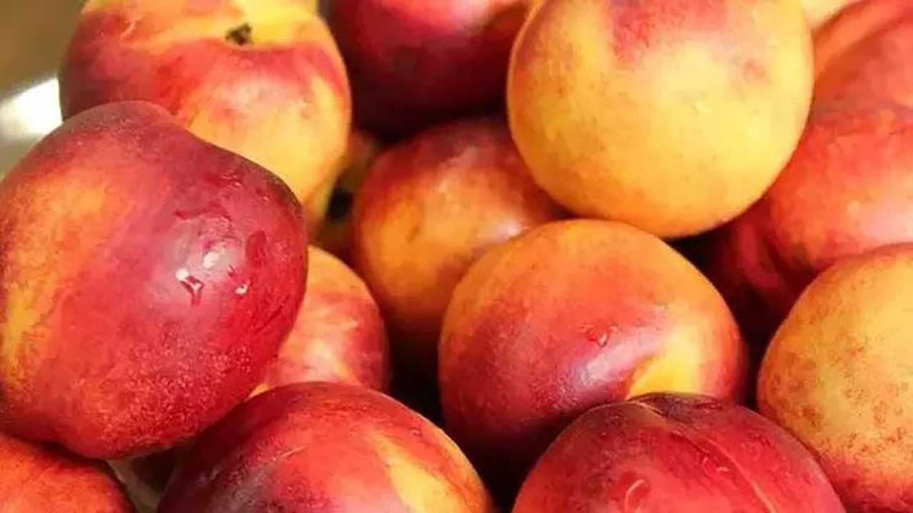 Foto - Tezgahta görünce kilo kilo alın! Damarları sakız gibi esnetiyor! Kalp krizini kökten engelliyor!