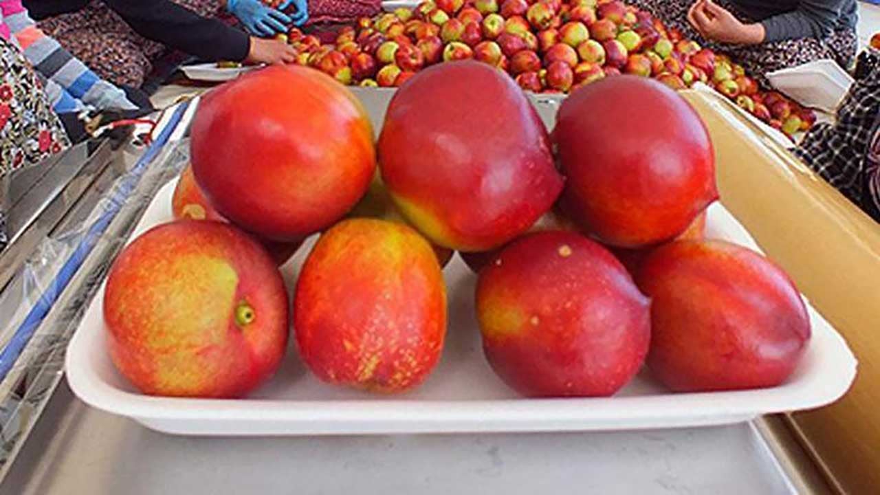 Foto - Tezgahta görünce kilo kilo alın! Damarları sakız gibi esnetiyor! Kalp krizini kökten engelliyor!