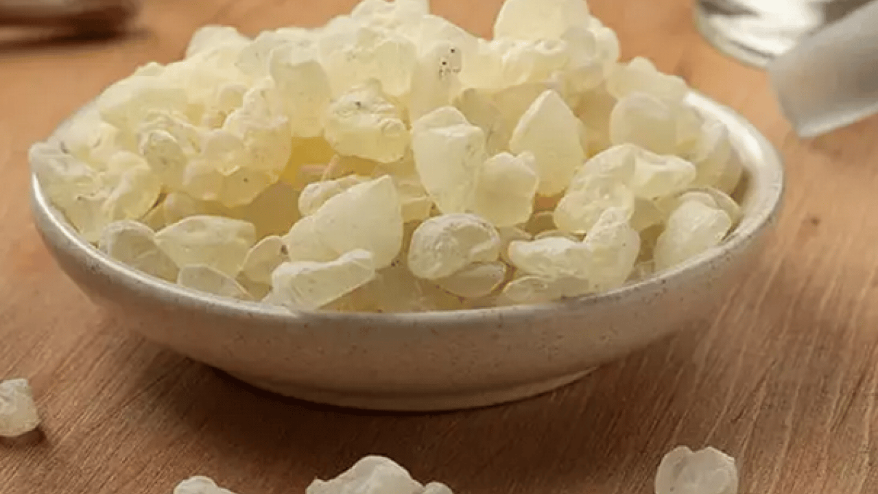 Foto - Tıbbi alanda önemi yok gibi duruyor ama gerçekte... Damla Sakızı Faydaları Nelerdir?