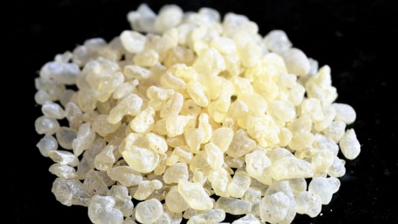 Foto - Tıbbi alanda önemi yok gibi duruyor ama gerçekte... Damla Sakızı Faydaları Nelerdir?