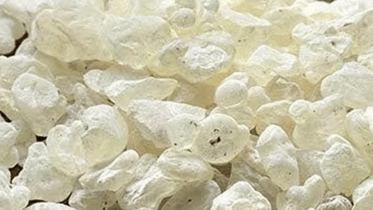 Foto - Tıbbi alanda önemi yok gibi duruyor ama gerçekte... Damla Sakızı Faydaları Nelerdir?