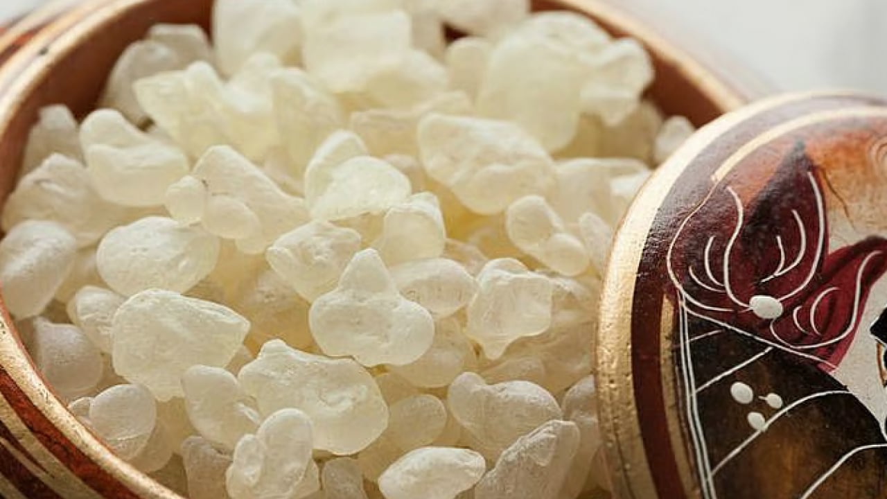 Foto - Tıbbi alanda önemi yok gibi duruyor ama gerçekte... Damla Sakızı Faydaları Nelerdir?