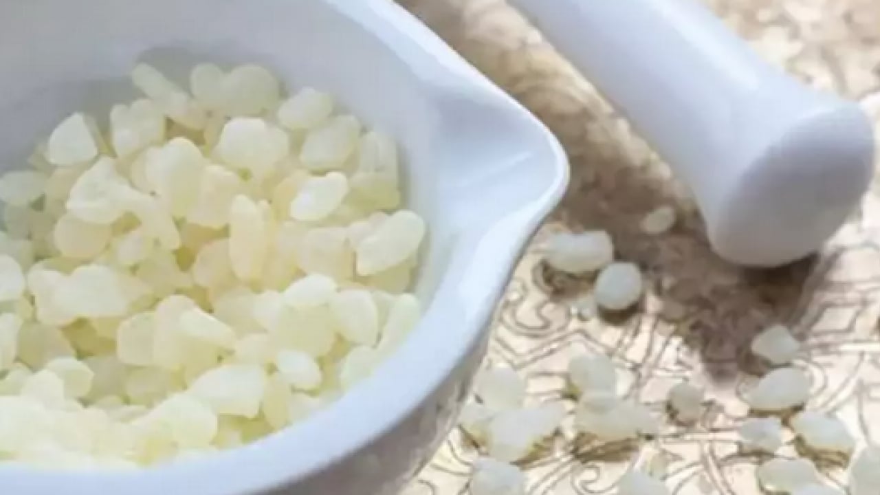 Foto - Tıbbi alanda önemi yok gibi duruyor ama gerçekte... Damla Sakızı Faydaları Nelerdir?