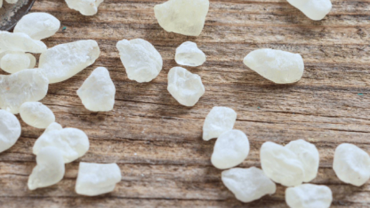 Foto - Tıbbi alanda önemi yok gibi duruyor ama gerçekte... Damla Sakızı Faydaları Nelerdir?