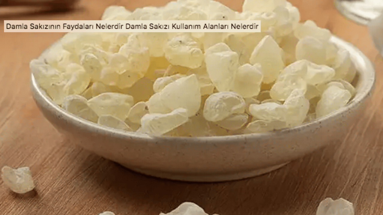 Foto - Tıbbi alanda önemi yok gibi duruyor ama gerçekte... Damla Sakızı Faydaları Nelerdir?