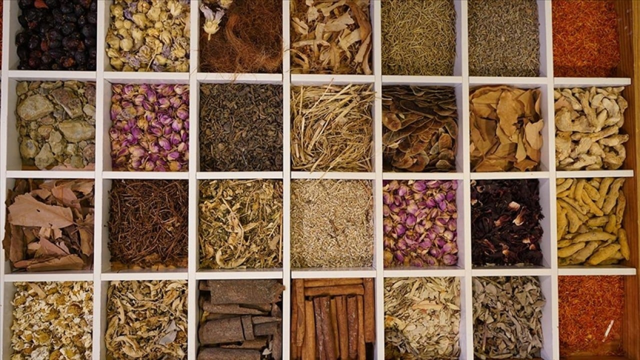 TİM açıkladı! O sektörün ihracatı ocak ayında 1 milyar dolara yaklaştı