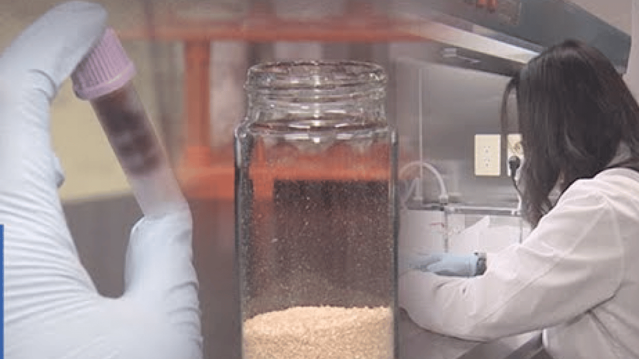 Foto - Tıpta tarihi buluş! Artık derin yaralar engel değil: Bir saniyede kanamayı durduran sprey geliştirildi