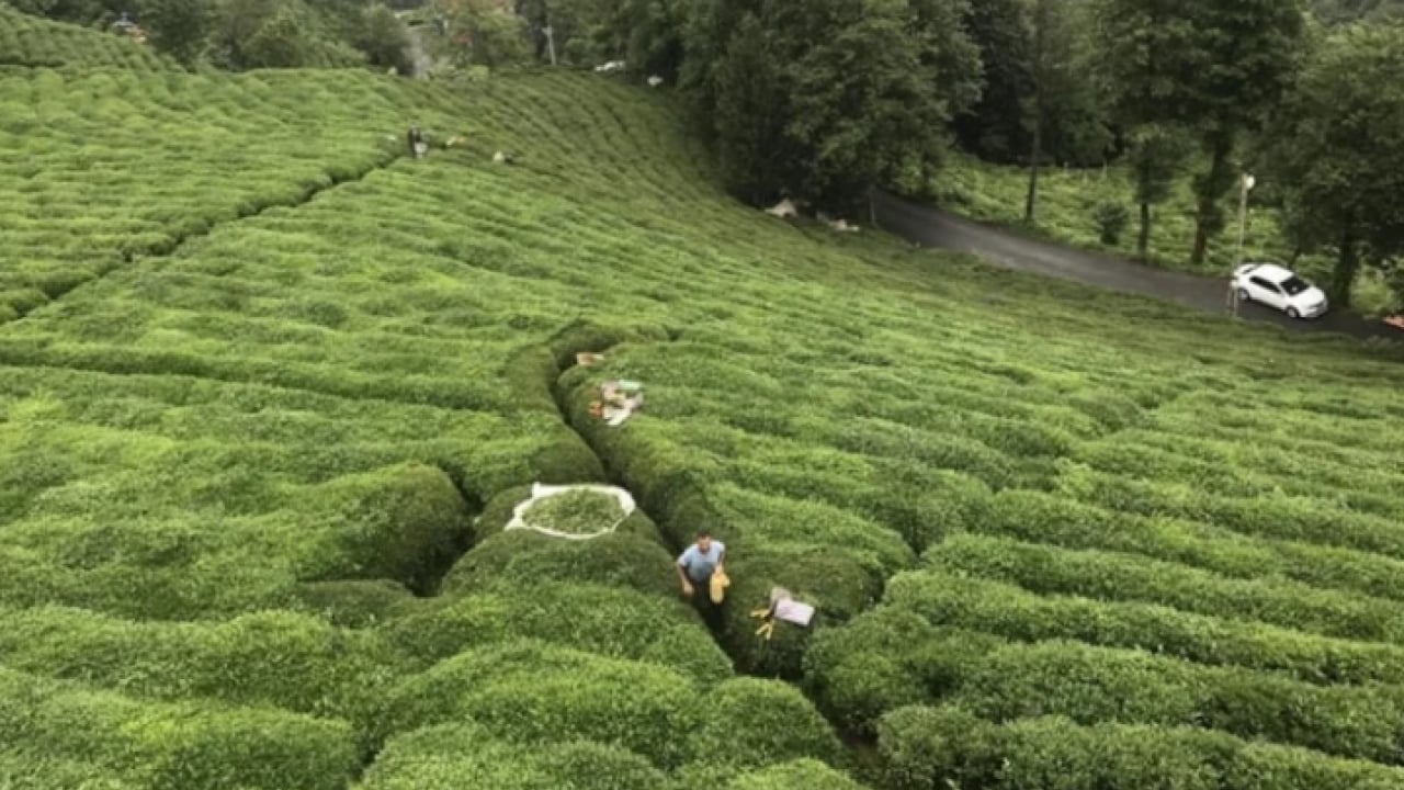 Foto - Tiryakiler çok üzülecek: Yüzde 10 zam geldi!