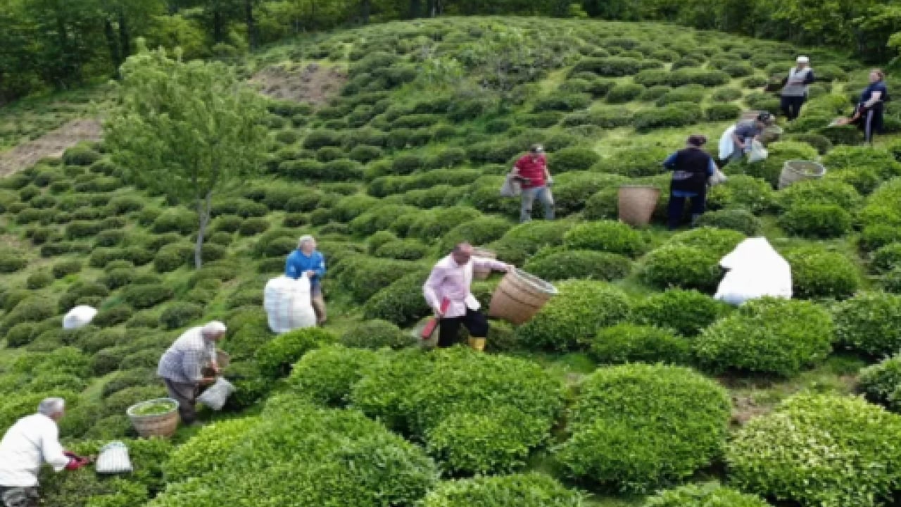 Foto - Tiryakiler çok üzülecek: Yüzde 10 zam geldi!