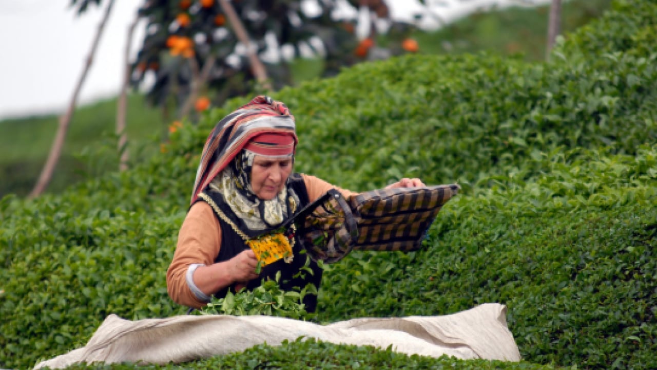 Foto - Tiryakiler çok üzülecek: Yüzde 10 zam geldi!