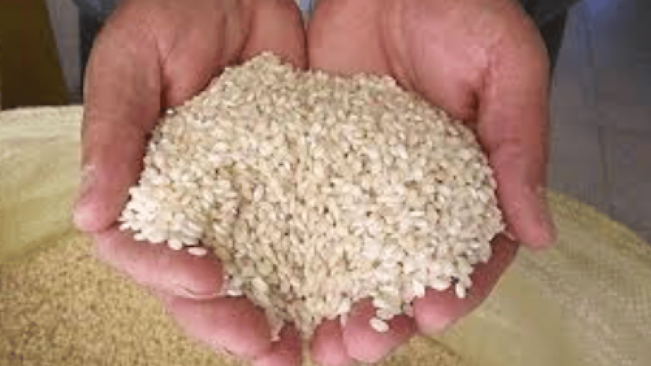 Foto - TMO’dan algı operasyonuna geçit yok: ‘Yunan pirinci’ yalanı deşifre oldu: 4 yıllık bayat haber yeniden piyasaya sürüldü