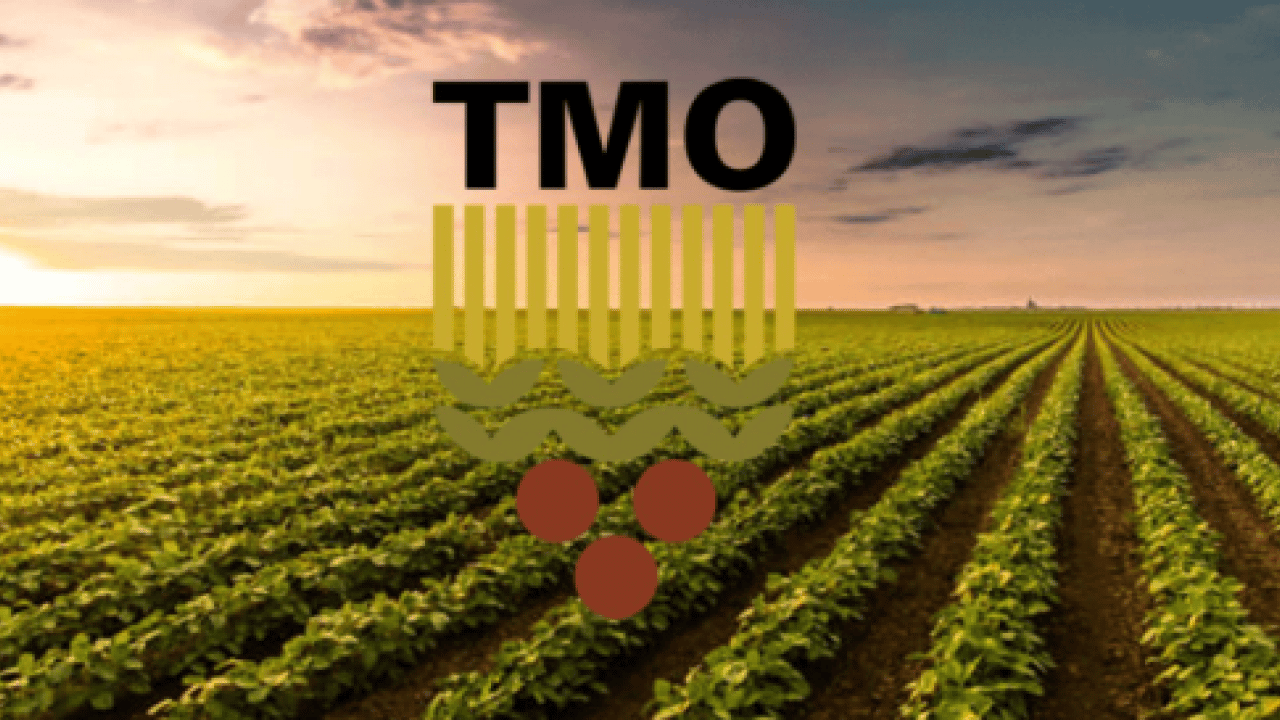 Foto - TMO’dan algı operasyonuna geçit yok: ‘Yunan pirinci’ yalanı deşifre oldu: 4 yıllık bayat haber yeniden piyasaya sürüldü