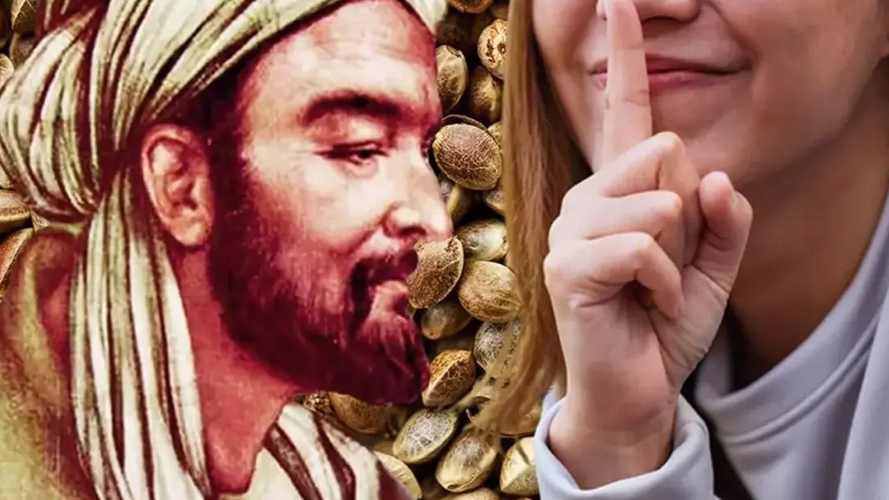 Foto - Tohum tüketen yaşadı: Gençleşmenin sırrı! İbn-i Sina asırlar önce önerdi! Sır gibi saklanan tohum