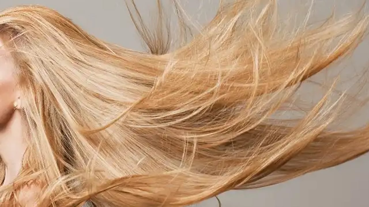 Foto - Tohum tüketen yaşadı: Gençleşmenin sırrı! İbn-i Sina asırlar önce önerdi! Sır gibi saklanan tohum