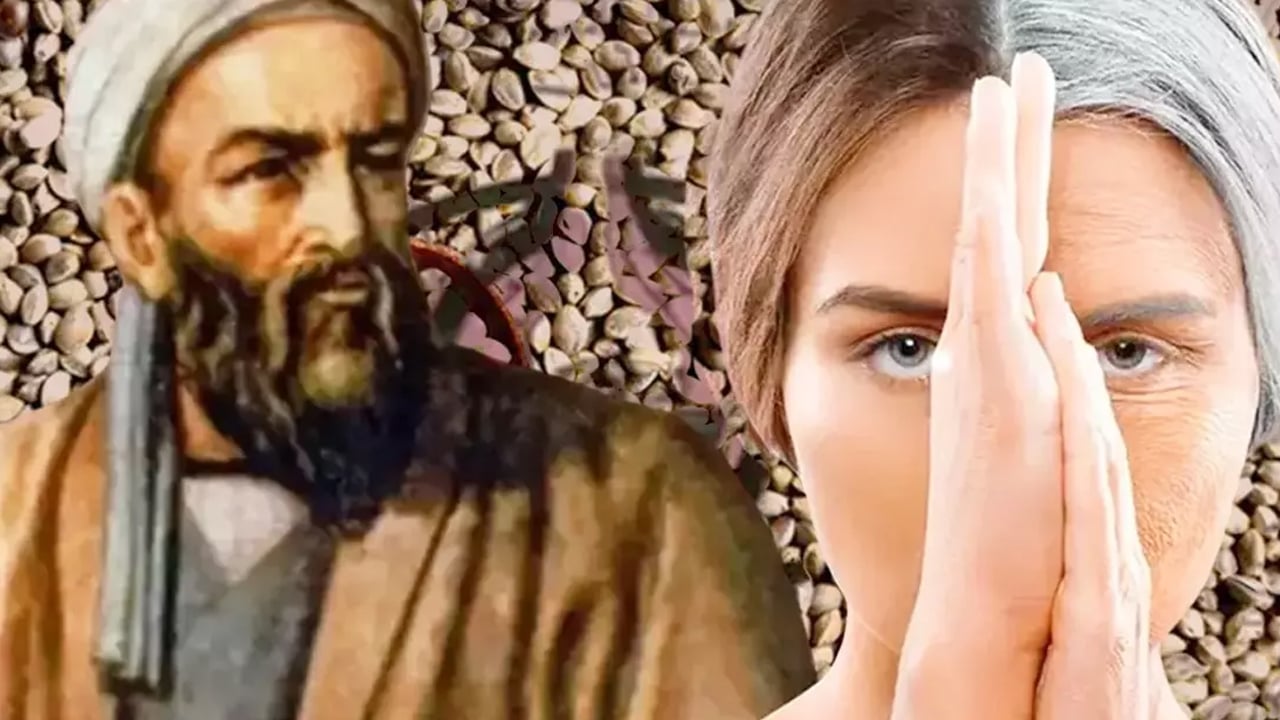 Foto - Tohum tüketen yaşadı: Gençleşmenin sırrı! İbn-i Sina asırlar önce önerdi! Sır gibi saklanan tohum