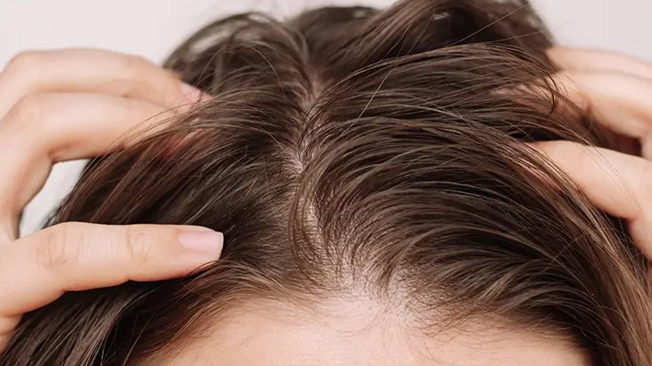 Foto - Tohum tüketen yaşadı: Gençleşmenin sırrı! İbn-i Sina asırlar önce önerdi! Sır gibi saklanan tohum