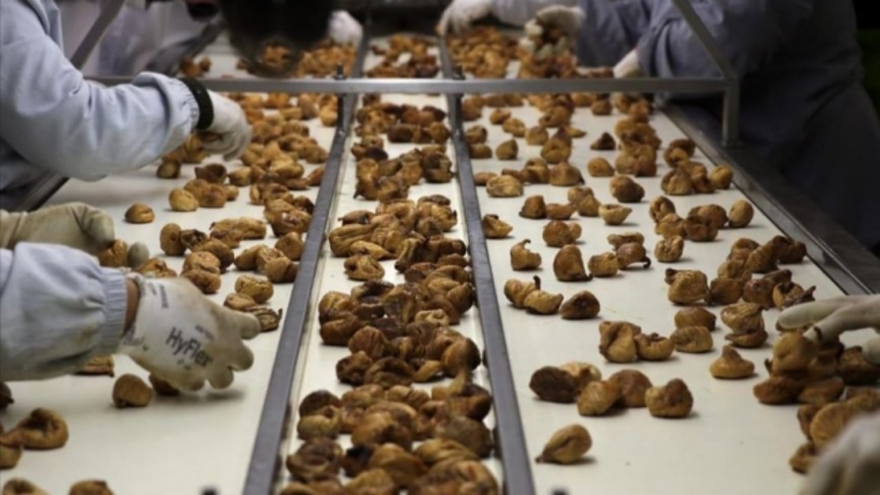 Tonlarca kuru incirde zehir tespit edildi! Uzmanlar ardı ardına "Sakın tüketmeyin" uyarısı yapıyor