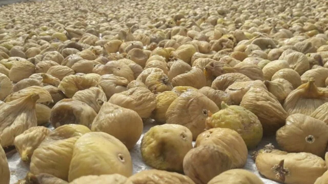 Foto - Tonlarca kuru incirde zehir tespit edildi! Uzmanlar ardı ardına "Sakın tüketmeyin" uyarısı yapıyor