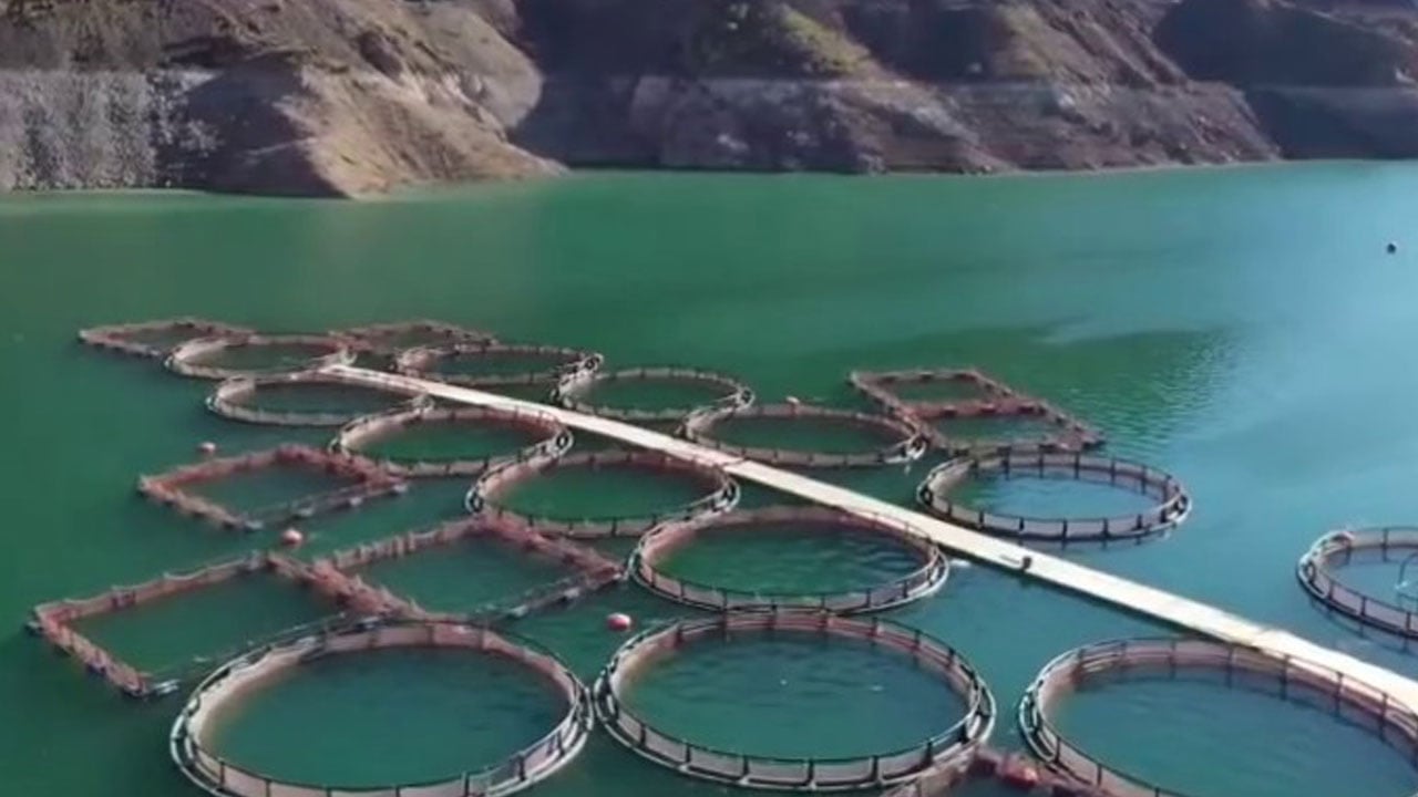 Toplam büyüklük 3,38 milyar liraya ulaştı! TKDK hibeleri Erzurum’da yatırımı katladı