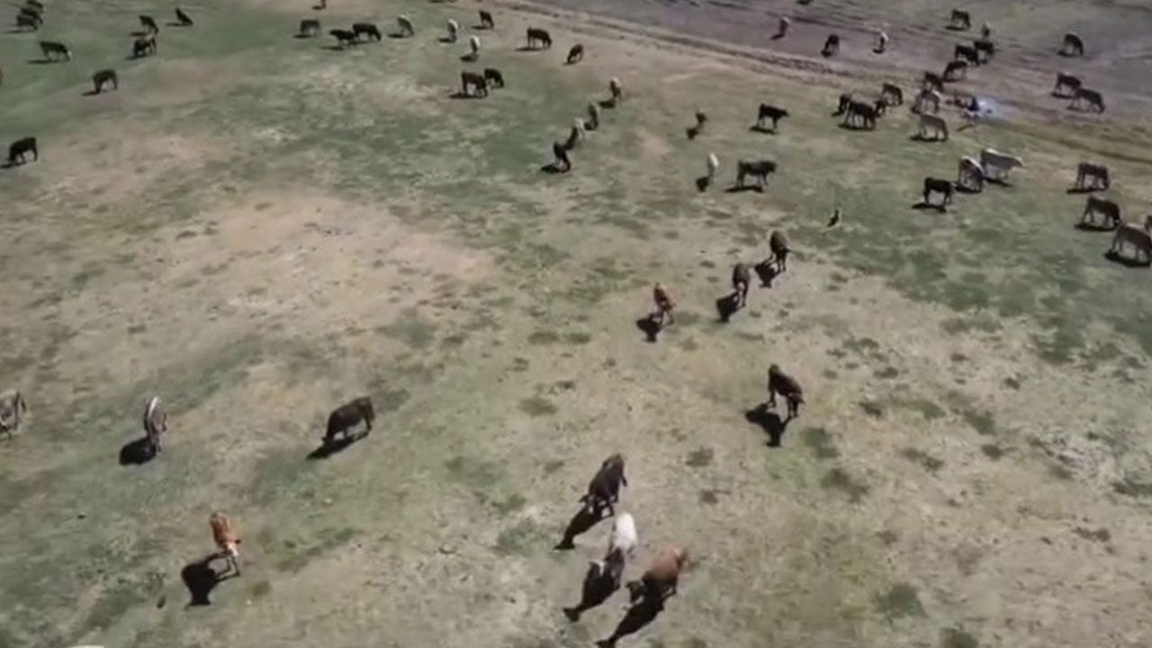 Foto - Toplam büyüklük 3,38 milyar liraya ulaştı! TKDK hibeleri Erzurum’da yatırımı katladı