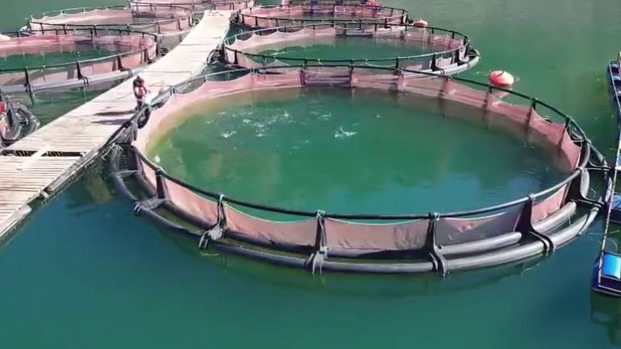 Foto - Toplam büyüklük 3,38 milyar liraya ulaştı! TKDK hibeleri Erzurum’da yatırımı katladı