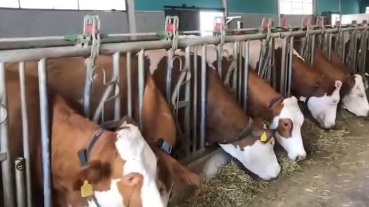 Foto - Toplam büyüklük 3,38 milyar liraya ulaştı! TKDK hibeleri Erzurum’da yatırımı katladı